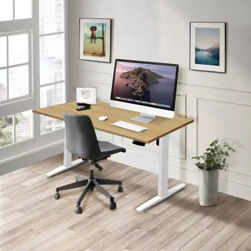 Electric Sit-Stand Desk with Tabletop — White / Maple